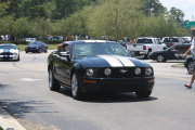 Black Mustang